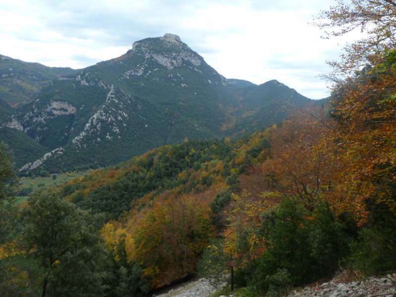 Bassegoda des dels Cingles de Guitarriu