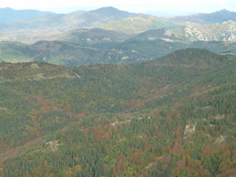 Colors de tardor des del cim del Bassegoda mirant cap a Maçanet de Cabrenys