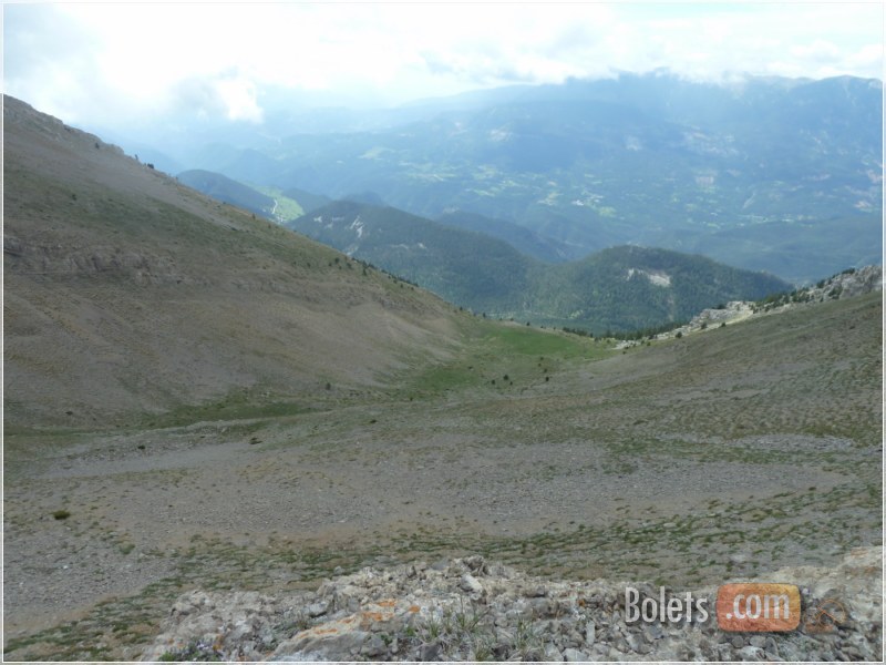 Clot del Comabona, ascens directe fins la pista que ens dura al Coll de la Bauma, punt d'inici