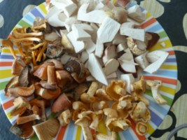 Barreja de bolets: ceps, rovellons, rossinyols i camagrocs